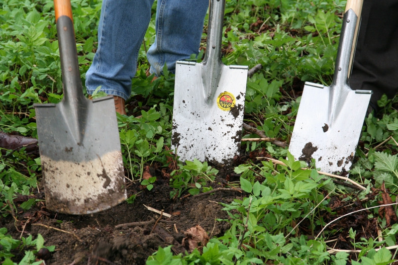 pepiniere-VINON SUR VERDON-min_work-lawn-flower-tool-green-backyard-1103633-pxhere.com